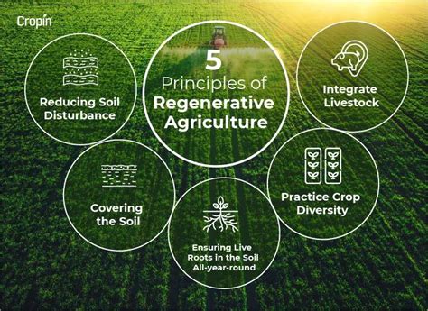 《Regenerative Agriculture: Principles & Practices》 一場關於地球與食物的深刻對話！