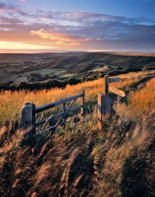 Yorkshire Moors Photography Unveiled: An Odyssey of Timeless Landscapes and Rustic Charm